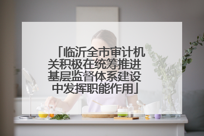 临沂全市审计机关积极在统筹推进基层监督体系建设中发挥职能作用